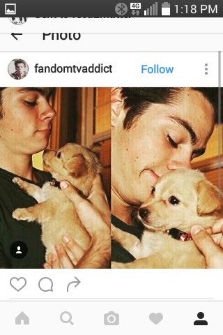 Team_Hoechlin's tweet photo. @lindenashby. YUR TV SON #STIFLES #STALINSKI.@dylanobrien https://t.co/J4DqqwsBWG