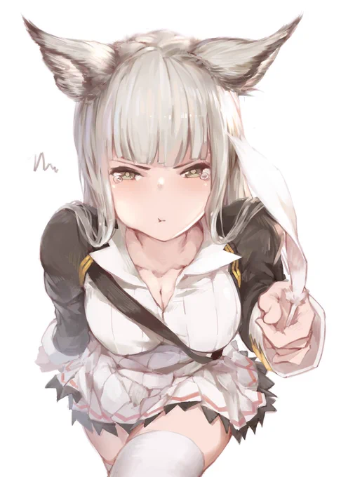コルワちゃん ˋ )-ˊ 