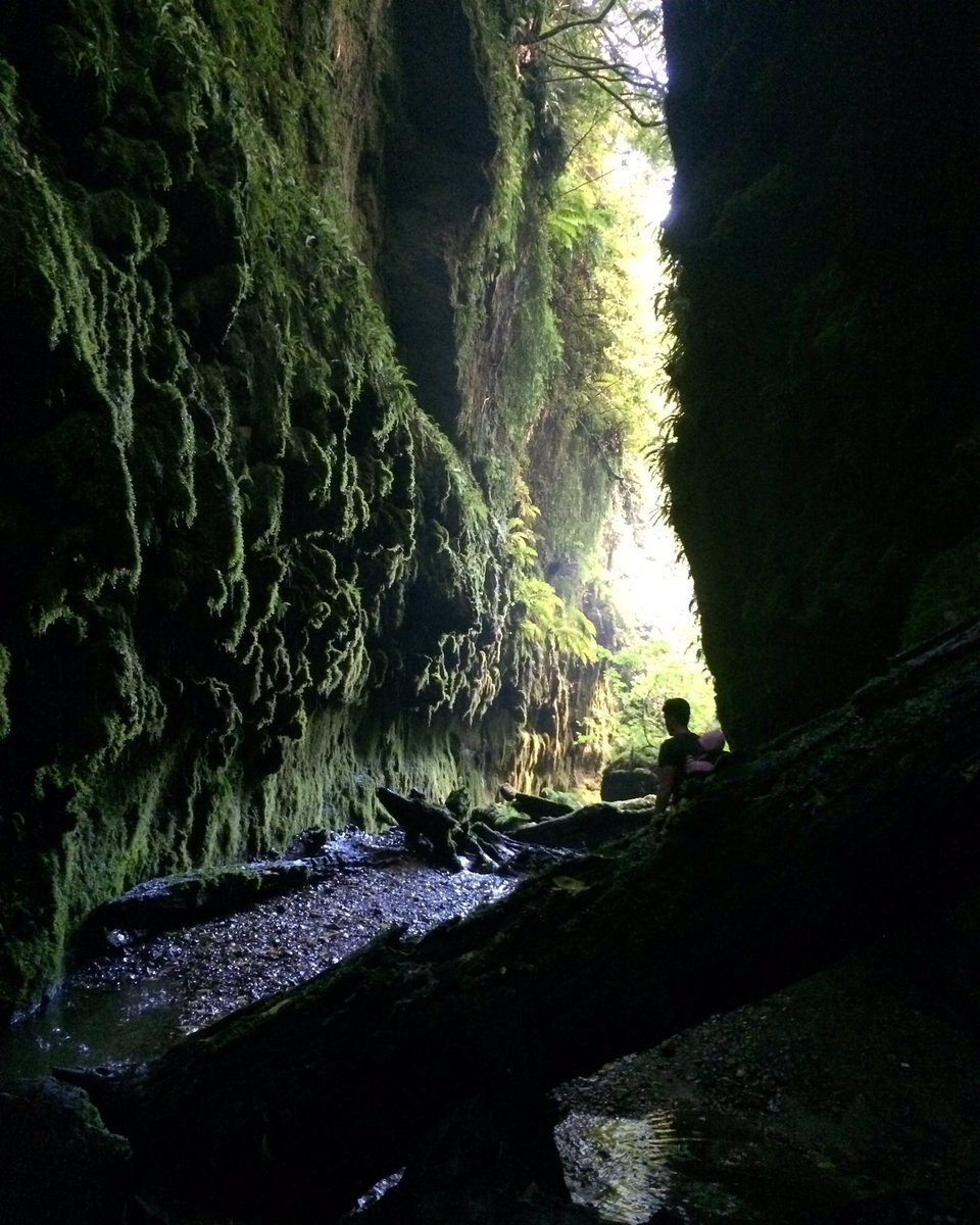 katelankshear's tweet photo. Found the best #hiddengem in #thisismanawatu #limestonecreek @Manawatu_NZ @FlyAirNZ @Jetstar_NZ https://t.co/jNOpCzg8KW