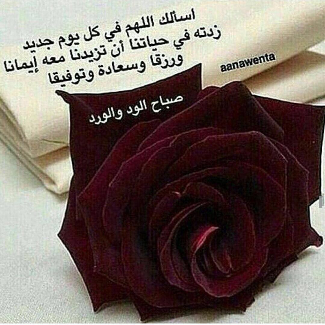 EZuoad's tweet image. صباح الخير