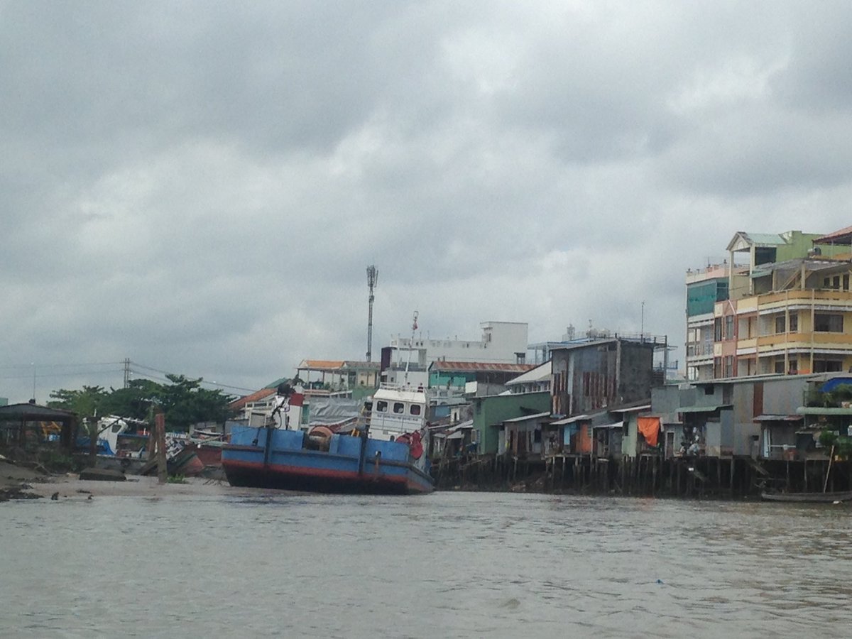 Claire Cameron tweet media