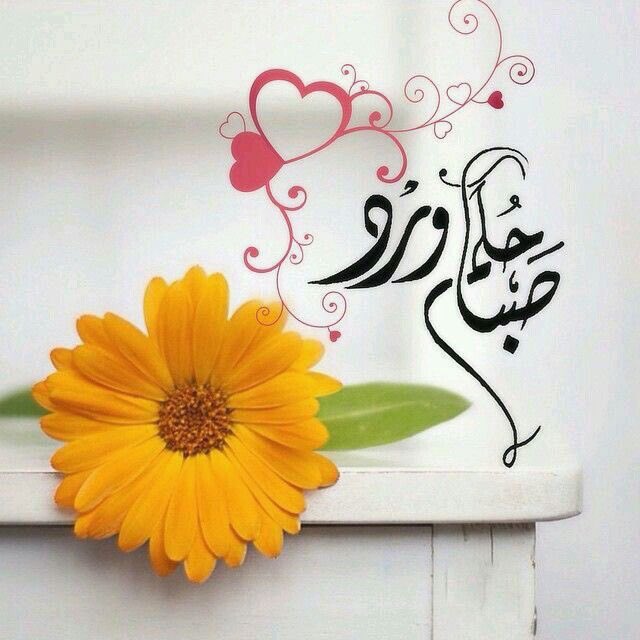 الابتسـامة هي خيـط ذهبـي يربـط بيـن القـلوب ، ، 
 كـ خيـط العـقد يجـمع حـبات اللـؤلـؤ . . 
ابتسـم بــ صـدق

#صباح_المودة_والمحبة