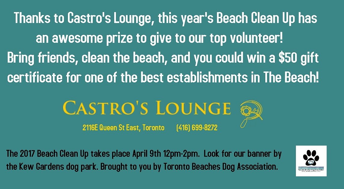 dog_toronto's tweet photo. Big thank you to @CastrosLounge for donating our clean up prize this year!!! #cleantoronto #tbda #kewbeach #torontodogs https://t.co/5utQ6aw3Vg