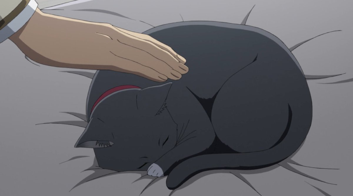 Red Starmyu is good because he loves his cat and I love anyone who loves th...