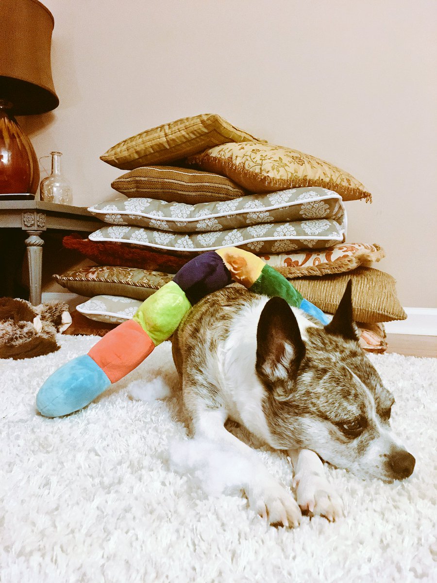 browerdog's tweet photo. @jeniangel #word https://t.co/0nWTlIgYTi