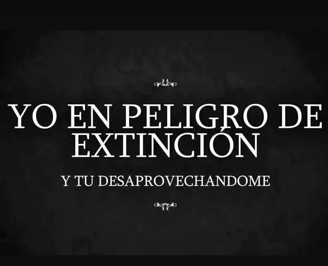 uchi_garcia's tweet photo. Aguantaaaa!! 😂😂 https://t.co/X5AV63xKYj