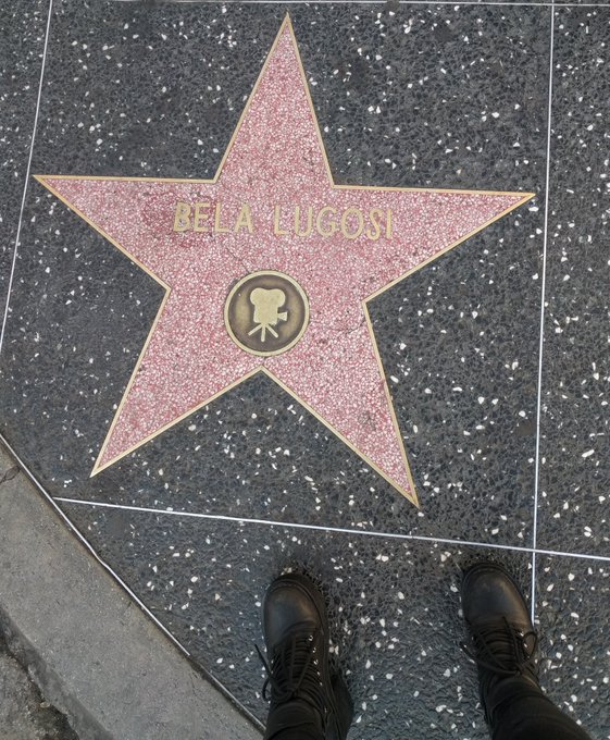 Undead undead undead https://t.co/6D5RCYCuAf