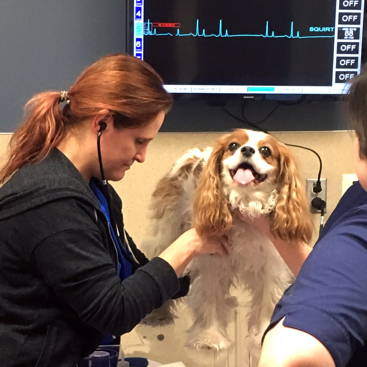 DoveLewis's tweet image. Our new cardiologist, Dr. Reynolds, is already busy diagnosing and treating patients for a variety of heart-related disorders. #hearthelp