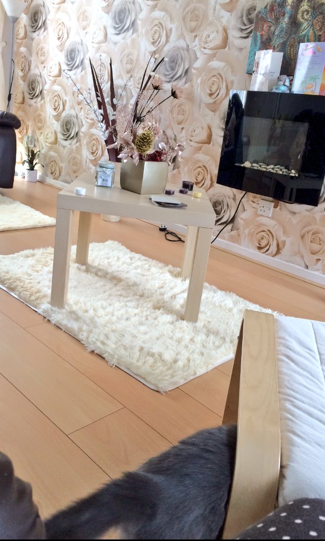 LadyAvaBSH's tweet photo. HIDING FROM MUMMY, SHE HADN'T A CLUE WHERE I WAS 😹😹😸😸😺🐾💕 #BestHideandSeeker https://t.co/qDaOuPhN4Z