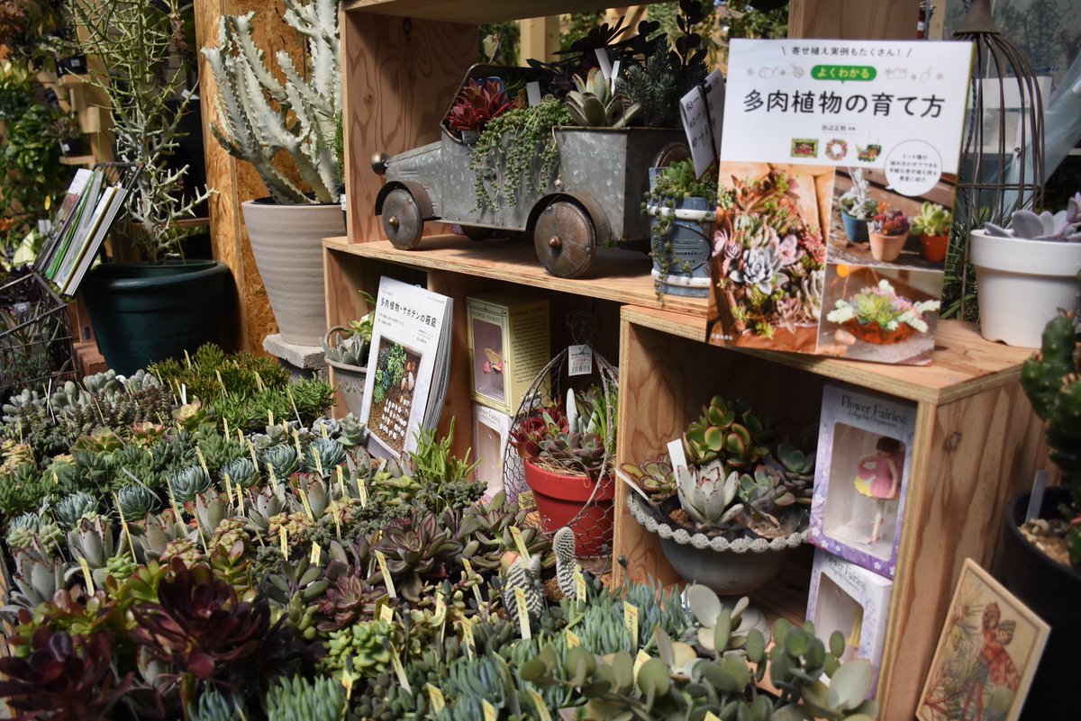えこりん村 公式 えこりん村にあるガーデンセンター 花の牧場 ホームページだけじゃなく店内もアップデートされました お部屋の中にグリーンを取り入れて 癒しと潤いのある新生活をスタート T Co Orwniukbte えこりん村 花の牧場