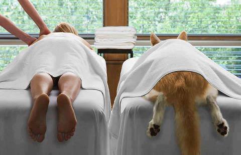 livewbeth's tweet image. Couples massage #HowIBondWithMyPet