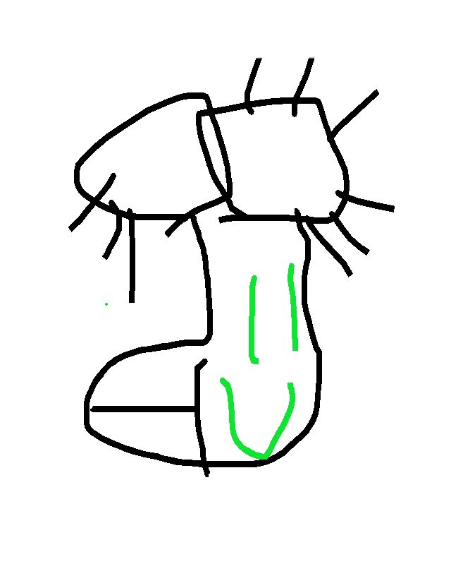 Deity_Bikes's tweet photo. Guess what I've drawn in #DrawNGuess!
Join me now ► https://t.co/fvz14LVe5c fun times https://t.co/fvz14LVe5c https://t.co/UJFJj51Y5o