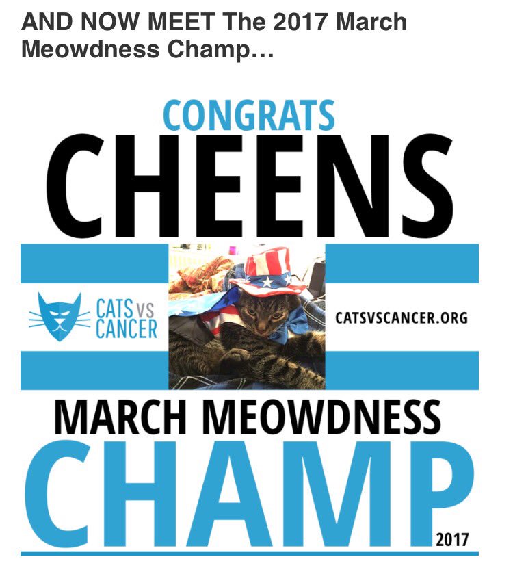 KatTimpf's tweet image. It's Cheens' first major media interview! @CatsVsCancer catsvscancer.org/2017/04/meet-c…