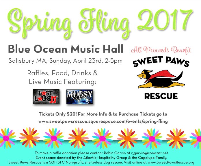 Join us at SPRING FLING! sweetpawsrescue.squarespace.com/shop/