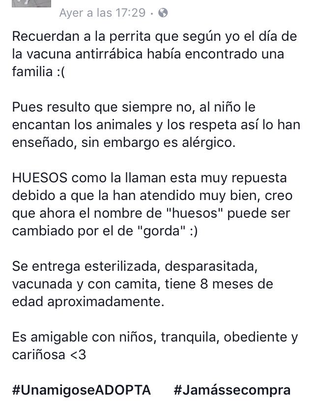 SOSsalchichas's tweet photo. 🏡#SalchichaEnAdopcion huesos hembra mix busca hogar le das oportunidad darte mucho amor? Atención Guanajuato Gto info 473 73 1090660 ❤️🆘🐾🙏🏻 https://t.co/L9d9TgD1UY