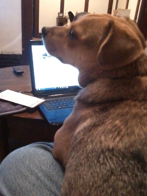 HOFcityChris's tweet image. #HowIBondWithMyPet 🐶
He comes up with all my best tweets