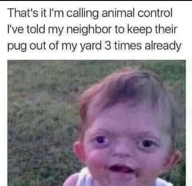 what happens when you call animal control on a neighbor