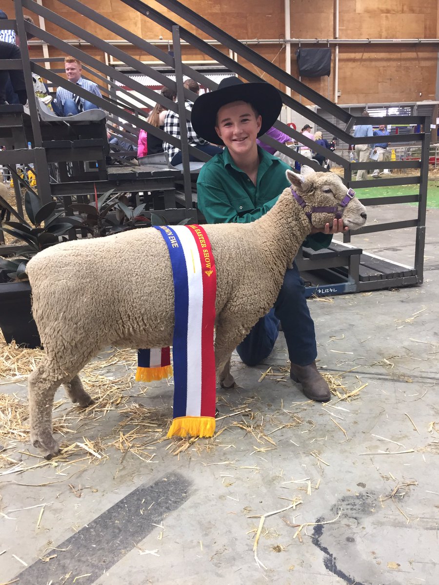 bridieedwards4's tweet photo. Jake Webster and Southdown Grand Champion Ewe West - Ray 1 #eastershow @thelandnews https://t.co/IVYUGcjJwZ