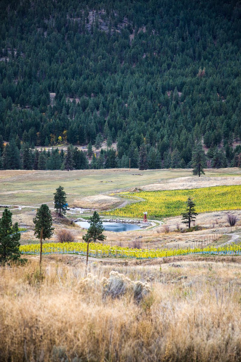 Stunning capture of Garnet Valley Ranch by <a href="/LeilaKwok/">Leila Kwok</a> #bcwine #extreme #unspoiled
