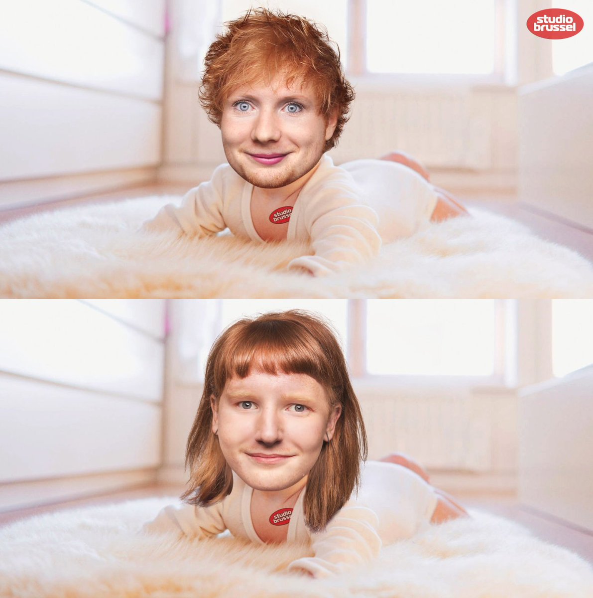 De kans dat <a href="/edsheeran/">Ed Sheeran HQ</a> en <a href="/lindemerckpoel/">Linde Merckpoel</a> straks baby's maken om het rosse ras te redden bestaat, kijk maar: stubru.be/music/edsheera…