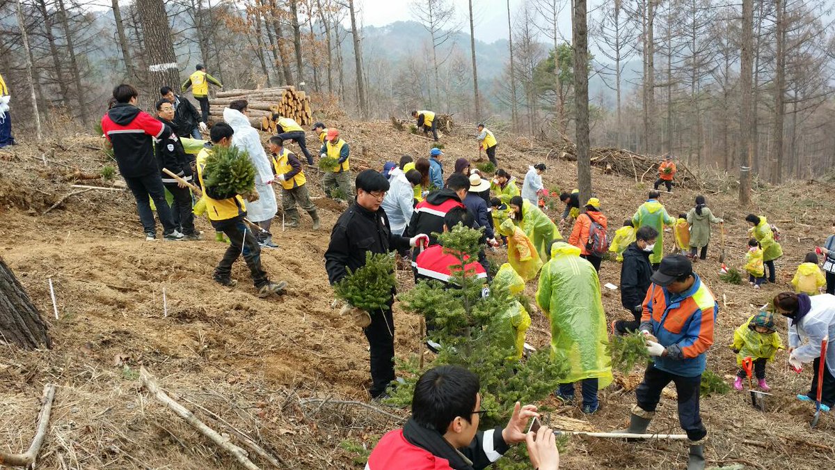 InjeLocaltour's tweet photo. #북부산림청식목행사🌲🌳
#박달고지���상나무숲조성지 에서 진행했어요.
여러분의 열띈 참여에 감사드려요!
자작나무숲을 잇는 명소가 되길~!

👉자세히 https://t.co/HOAMKufTBC https://t.co/TBCaL605Bp