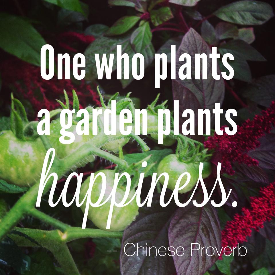 lsllandscaping's tweet photo. #planting #gardening #lovegardening #lovemygarden #happiness #plants #quotes #gardeningquotes #lsllandscaping #lslsurfaces https://t.co/RzGMiOPa3w