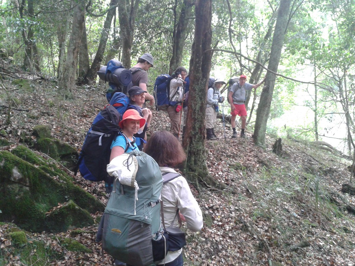 Going_Solar's tweet image. #Walking in #Melbourne  &amp;amp; Regional #Victoria this weekend:  See victorianwalkingfestival.com.au