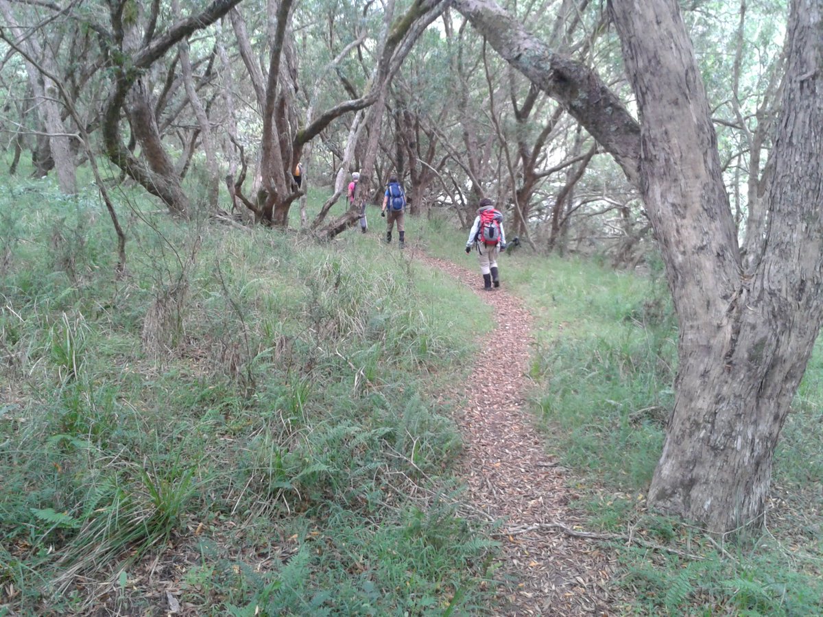 Going_Solar's tweet image. #Walking in #Melbourne  &amp;amp; Regional #Victoria this weekend:  See victorianwalkingfestival.com.au