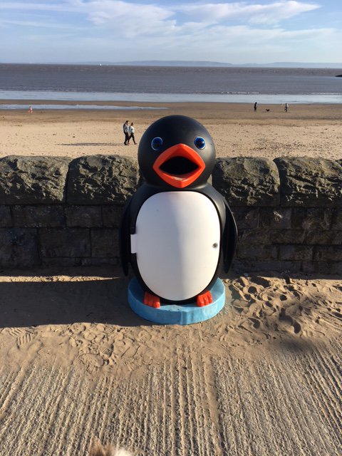 Barry_TC's tweet image. Spotted! Penguins have taken over Barry Island! If you see them, please tweet us your pics! #keepbarrytidy
