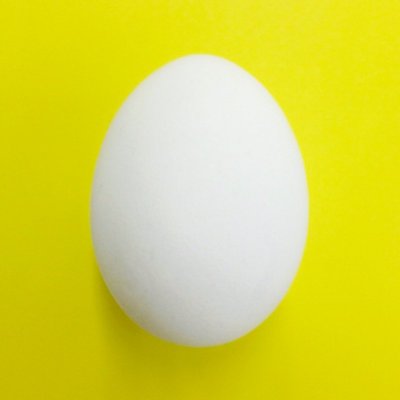 4 000rt 卵アイコンが廃止になったので実写版twitter卵フリーアイコンを撮りましたwwwwwww