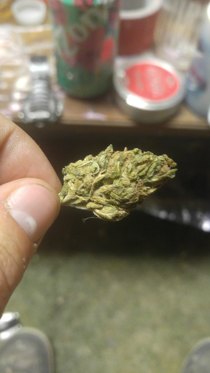 kotex420's tweet photo. Banana kush😊🍌🍁🔥 https://t.co/z5cTtDDL54