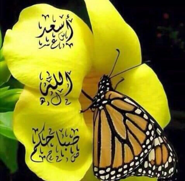يقول ابن القيم رحمة الله : 

(ما اغلق الله باباً لعبد بحكمته إلا فتح له بابان برحمته) .