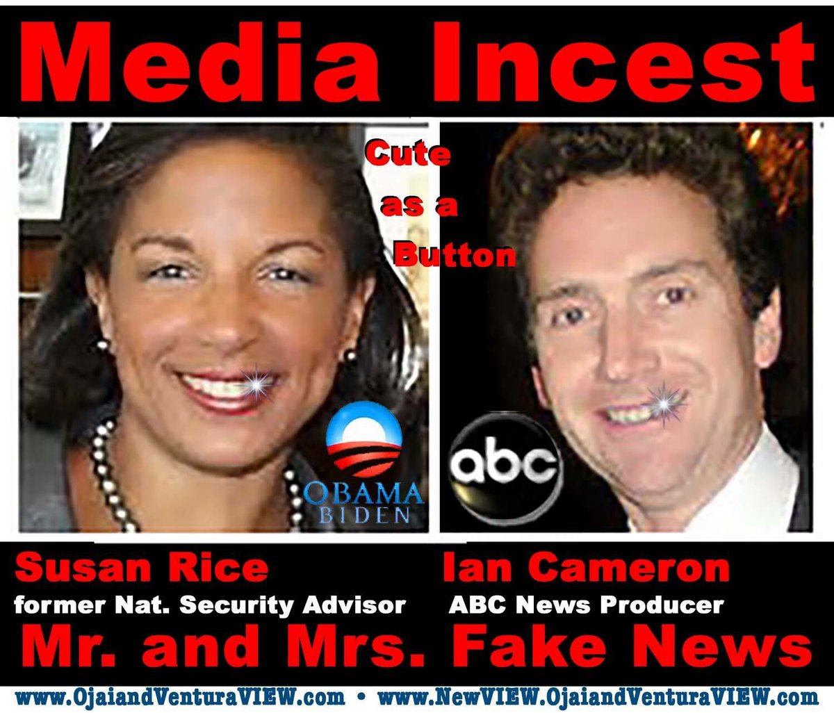 Susan Rice's husband has ABC go to bat for her