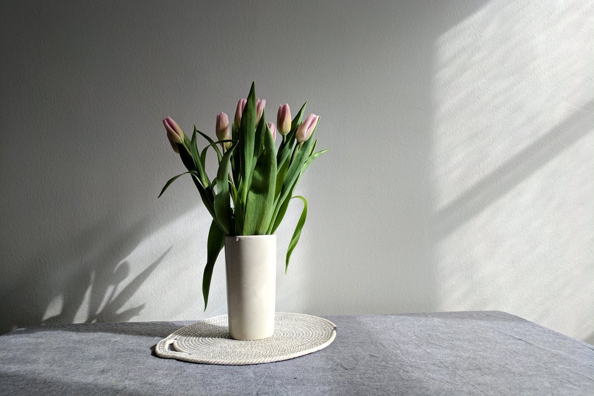 Minor_Goods's tweet image. #springflowers tulips &amp;amp; my #minorgoods 
#onthetable simplicity :) minorgoods.com
