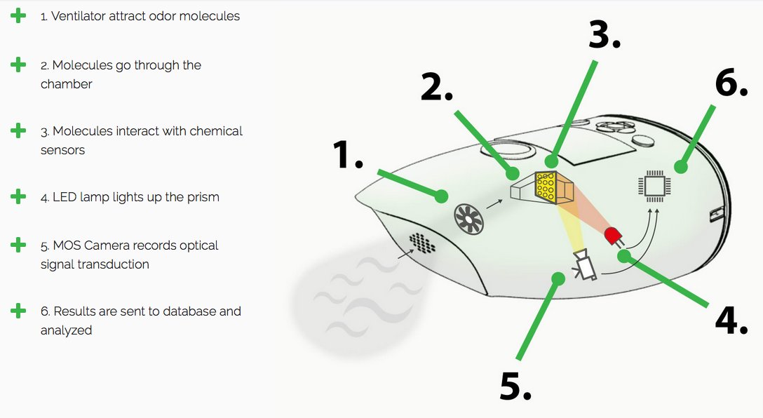 Le nez électronique qui pourrait changer la vie des aveugles tinyurl.com/lelz3u4 #TECH24 avec <a href="/marjoriepaillon/">Marjorie Paillon</a> <a href="/FRANCE24/">FRANCE 24</a> cc <a href="/LePoint/">Le Point</a>