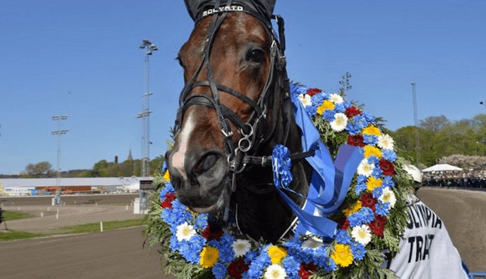 erland58's tweet photo. Inför V75: Solvato på väg mot Olympiatravet igen 😍
https://t.co/3Wuit1bdYy #twittrav #v75 #olympiatrav #atg #solvato https://t.co/HKWsKCb6bh