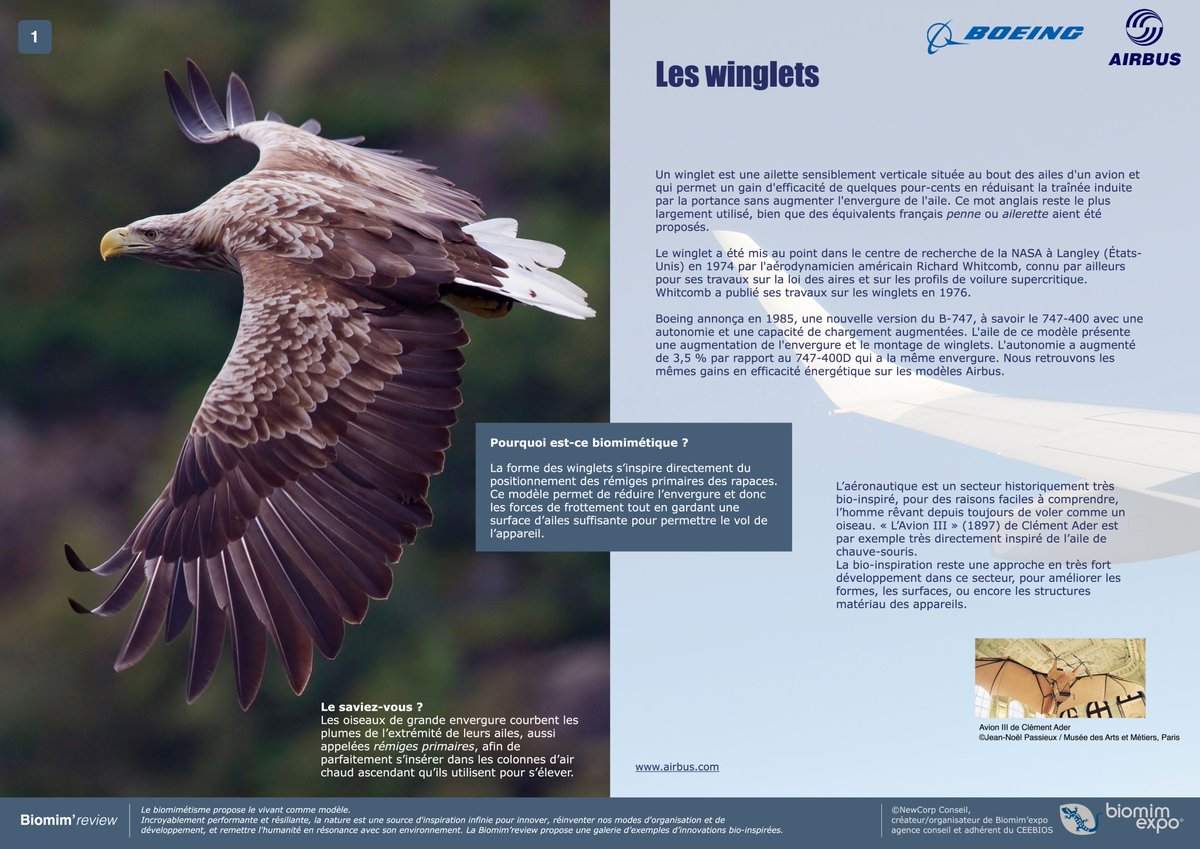 Biomimexpo On Twitter Et Le Biomimetisme Dans Le Ciel