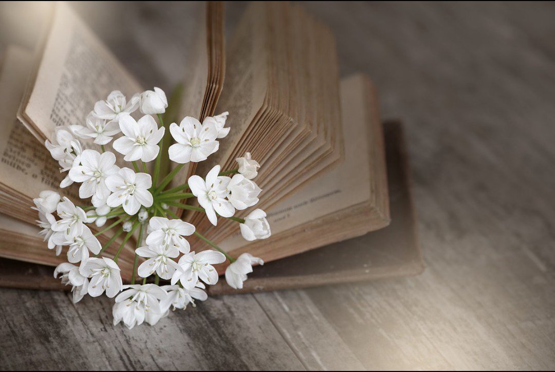 이기는 사람은 
열심히 일하고, 
열심히 놀고 열심히 쉽니다. 
지는 사람은 
허겁지겁 일하고 
빈둥빈둥 놀고 흐지부지 쉽니다. 

-좋은  글