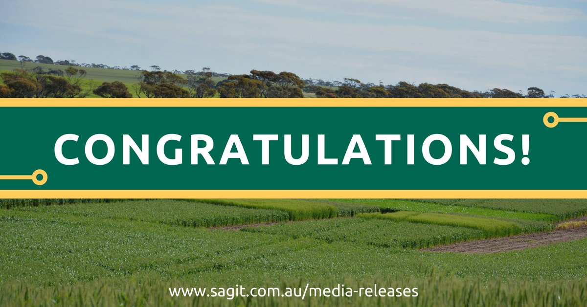 SAGrainTrust's tweet image. More than $3m funding to 26 new research projects: Congrats @SAGrainTrust researchers! sagit.com.au/media-releases