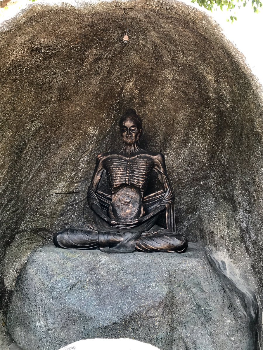 PhilippeShogun's tweet photo. @ZenTriathlon when Buddha trains hard for Ultraman! https://t.co/HWlEPB6h1w