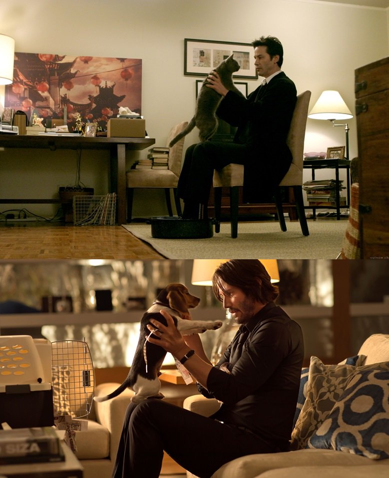 WariyawanOui's tweet photo. @JohnCons7antin and Cat's name Duck 🐱 and @JohnWick and dog's name Daisy 🐶 #Constantine2005 #keanureeves 😍😍 https://t.co/xn7T7eNnQj