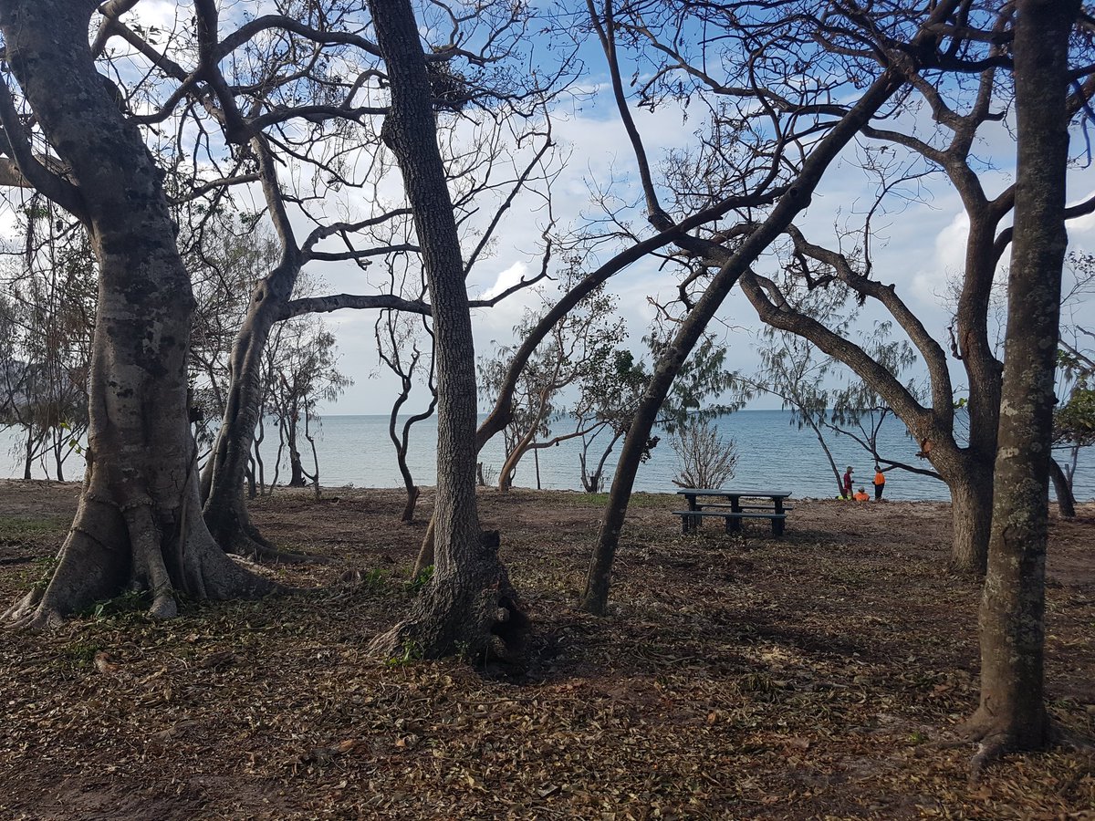 AdamGStephen's tweet photo. Debbie Does Dingo but it's still standing @QLDWhitsundays @ABCTropical @ABCnorthqld #cyclonerecovery https://t.co/oT0mpRfGRD