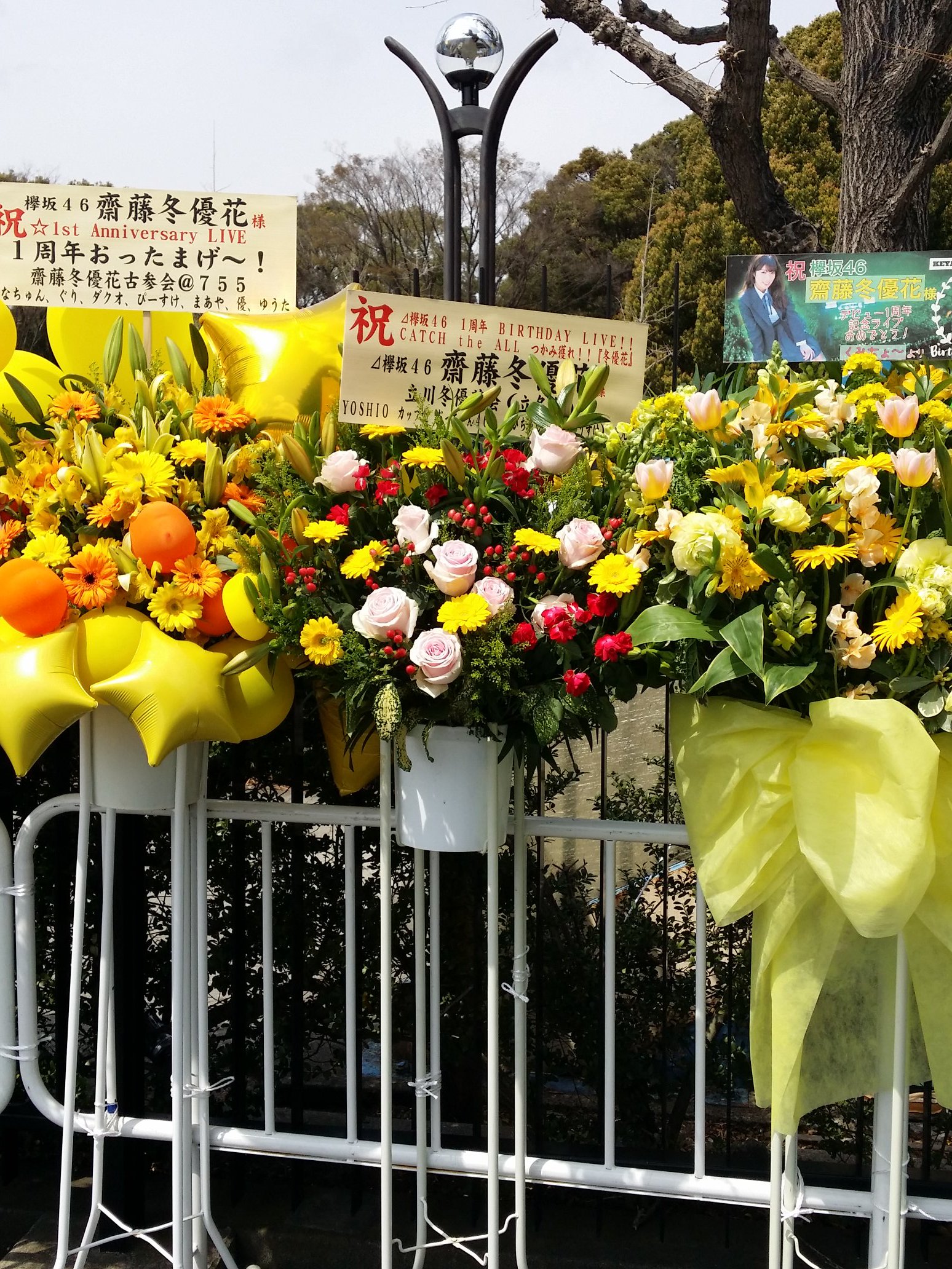 いもくん さんしゃりー菜 Twitter પર 祝い花 欅坂46デビュー1周年 祝い花 齋藤冬優花 平手友梨奈 志田愛佳 渡辺梨加 T Co 5zgsnbedti Twitter