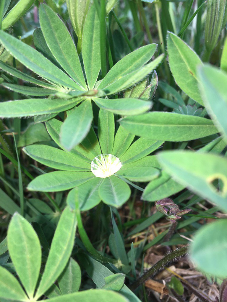 Diamond dew.  Cape Horn.