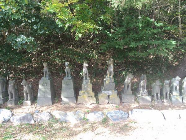 妖怪道中記:青森県つがる市「高山稲荷神社」へ。無数に続く鳥居の丘をのぼった先にはキツネ石像が無数に並べられていた。ここは全国の無縁となってしまった稲荷社の供養寺となっているようでその壮大な数に圧倒されました。