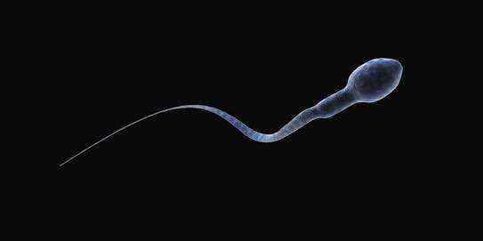 TolgaCevik's tweet photo. #tbt yapiym dedim.İlk fotomu buldum.O zaman da saç yok😂😂😂😂 https://t.co/DHadN2nkfR