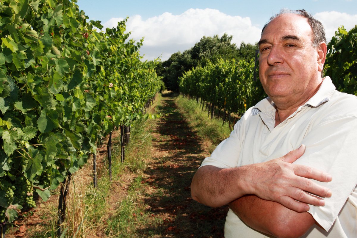 VignaioliVITE's tweet photo. In #Campania con #CantineLonardo #ContradeDiTaurasi
https://t.co/XWXeos7GKf
#vignaiolieterritori #roviello #aglianico #grecomusc #taurasi https://t.co/87i1eng4KT