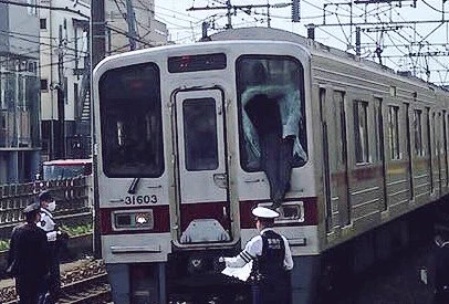 これで生きていたなんて奇跡ｗ運転手の方が心配になりますね。。