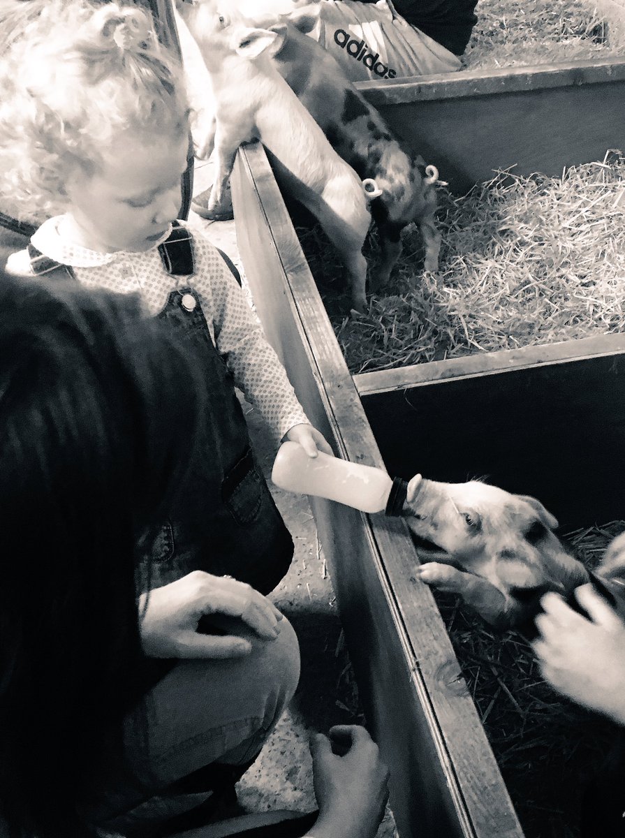 meewls's tweet photo. Special day @lofarmpark #spring #piglets #lambs #chicks #feeding #learning #animallove #friends #meerkats #bouncingpillows #highlyrecommend https://t.co/1neVdhoIht
