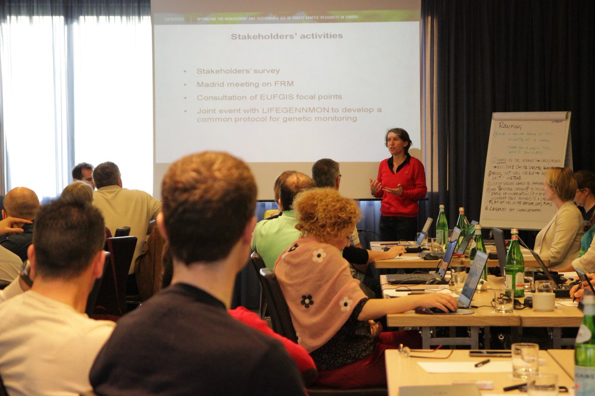 GentreeProject's tweet photo. B.Vinceti presenting results of a survey on the status of conservation of FGR during @GentreeProject @EUFORGEN consultation with #EUFGIS FPs https://t.co/6rJNc8jgEz
